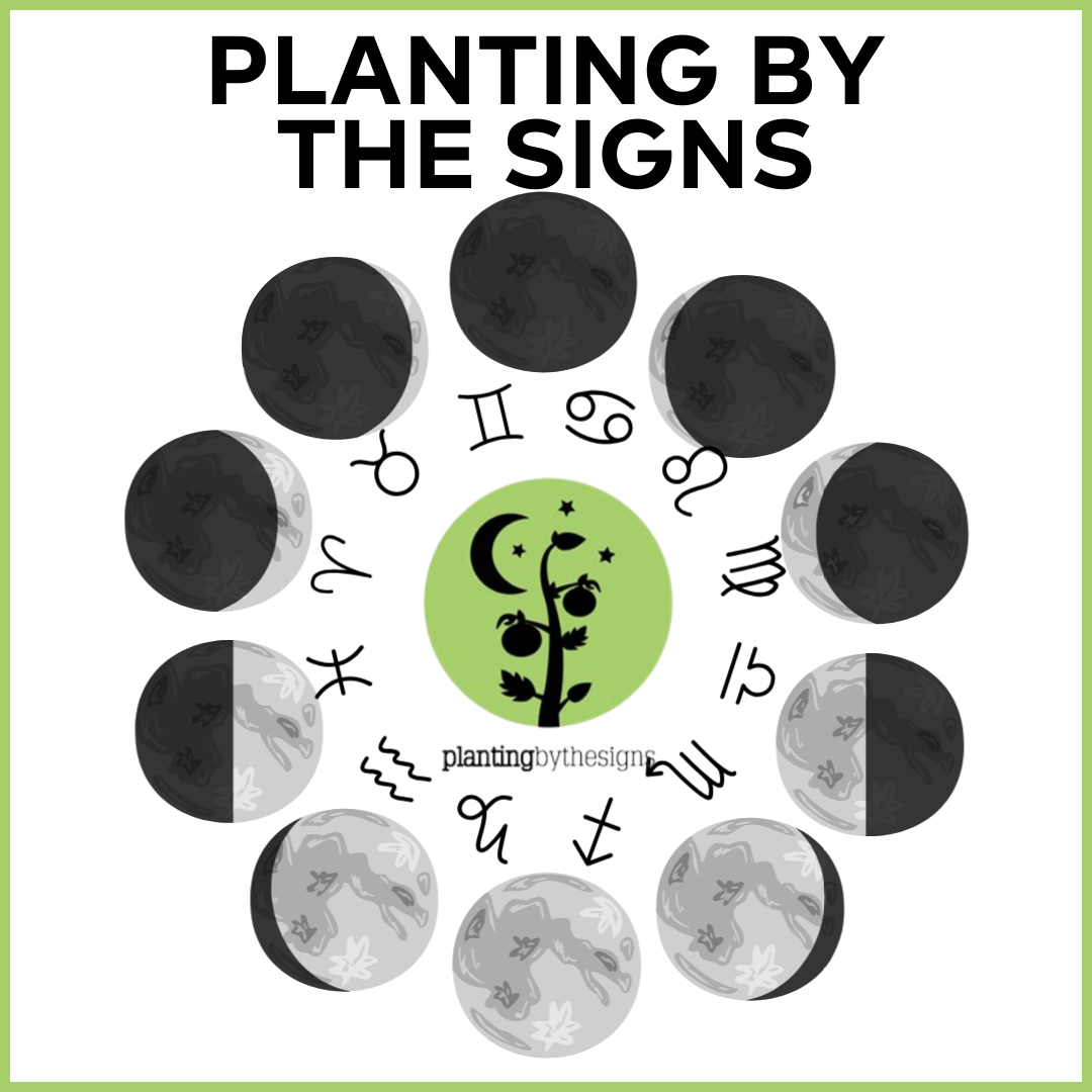 Planting By The Signs - Moon Phases vs The Signs